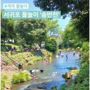 솜반천 | 서귀포 아이랑 가볼만한곳 물놀이 명소 계곡 솜반천 준비용품 팁