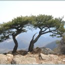 해송여관 이미지