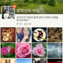 아침약국 이미지