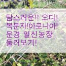 일신농장 이미지