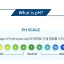 (주)딥플랜트