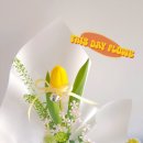 이런날;꽃 네이버블로그