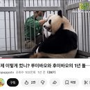 11545-01-63-05 | 출근했고 일하기 싫고 여행가고싶은 직장인 일상 ･᷄-･᷅