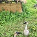 수리산 산림욕장 이미지