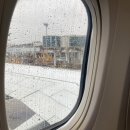 마리짱 익스프레스 이미지