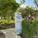 과천시민회관 대체육관 | 과천 재즈 피크닉 2026 일반 예약일 25년 후기 및 준비물, 꿀팁, 주차