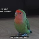 영옥농장 이미지