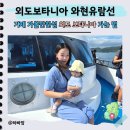 GS25와현해변점 | 거제 외도 보타니아 와현유람선 배 예약 시간표부터 아이랑 입장권 꿀팁까지