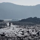 대부도 관광안내소 이미지