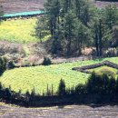 시흥리-1 이미지