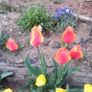 배못경로당 이미지