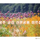 피어나공주 티스토리