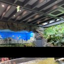 아쿠아카페(AQUA CAFE) 이미지