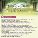 하이원 힐링콘서트 이미지