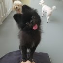 상주호텔 이미지