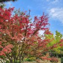 송안경원 | 次李白悲淸秋賦 (차이백비청추부) - 趙觀彬 (조관빈)