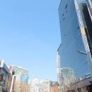 메디칼영광약국 이미지