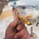 도하저수지 이미지