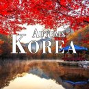 Autumn Korea 4K Ultra HD • Enchanting Autumn Korea, Scenic Relaxation... 이미지