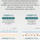 비비홀릭 - 김포시 | 비비홀릭