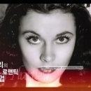비비안리 뷰티