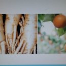 총백한의원 이미지