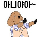 베스킨라빈스포항애비뉴
