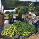 신송농장 이미지