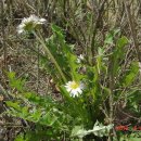 판교도서관 이미지