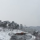 돌담농장 이미지