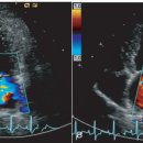 전동물병원 이미지