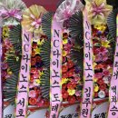 상남동242 이미지