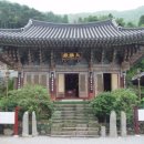 일향(一香) 이미지