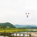 용구니콩닭 | 2019 평창효석문화제 후기