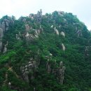 (주)성주약품 이미지