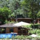 자연인한의원 이미지