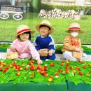 해찬솔 어린이집 이미지