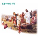 오병이어 Daum카페