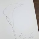 그림 스케치 이미지