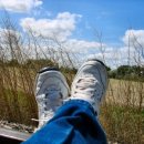 자양경희한의원 이미지