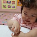 영락유치원 네이버블로그