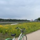 강변길-서천 | 영주 할만한 것/경북 영주 자전거 대여 구르미 이용후기