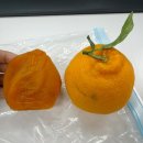 대봉가구 - 달성군 비슬로 2155-1 | [내돈내산] 인생감 찾았다… 대봉반건시 솔직 후기 🍊
