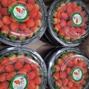 대풍상회 이미지