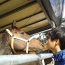 선봉축산 이미지