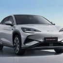 수입차 판매 4위에 올라선 BYD, 누가 샀을까? 이미지