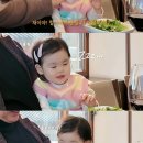 박수홍 카카오 검색결과