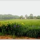 Design your body 이미지