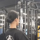 아일랜드 피티 짐 네이버블로그