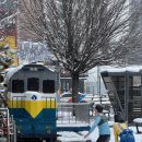 군산오징어 이미지